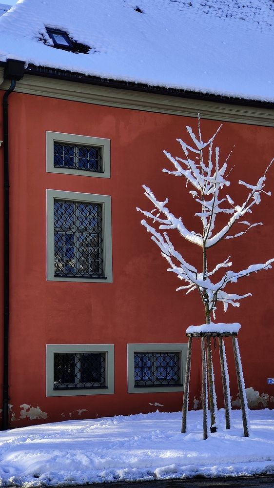 Фотография автора Laura Skwarek