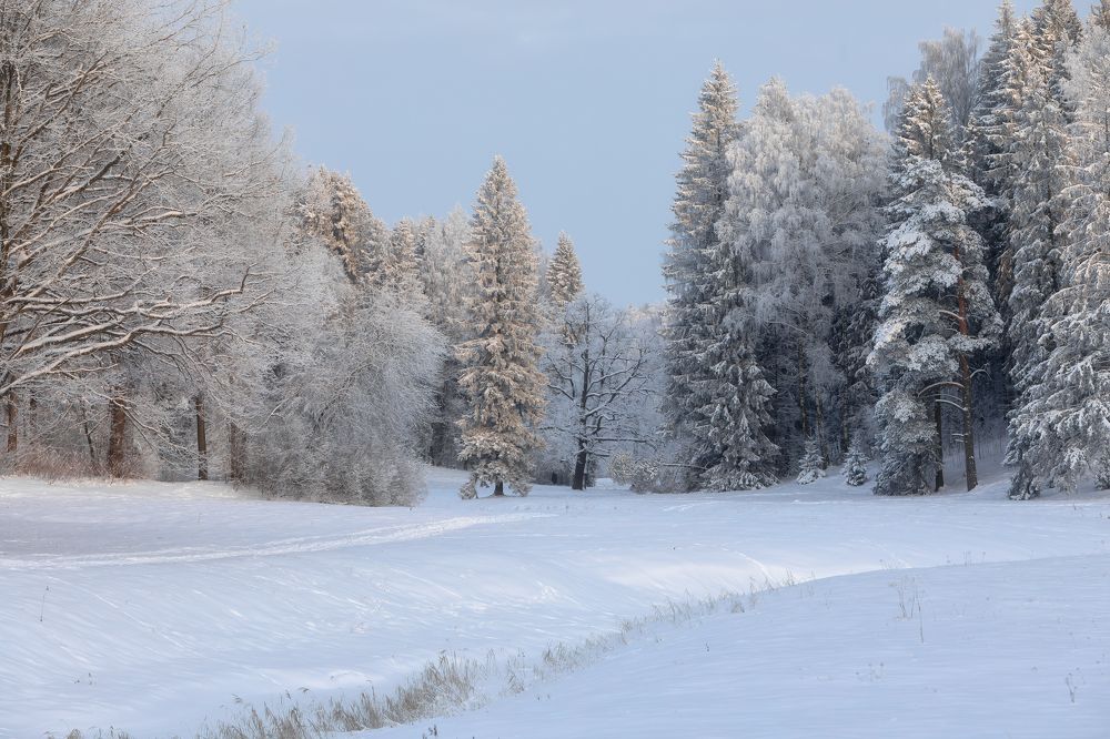 Фотография автора Александр Пашеничев