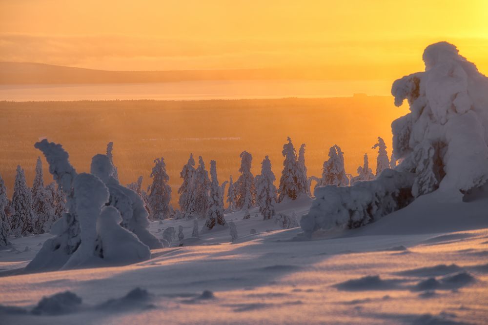 Фотография автора Александр Пашеничев
