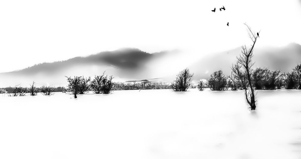 Photograph by Soroush Reza