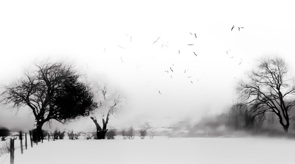 Photograph by Soroush Reza