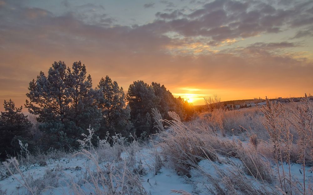 Photograph by Василий Быстрицкий