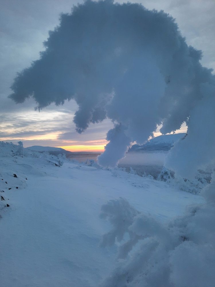 Пробуждение