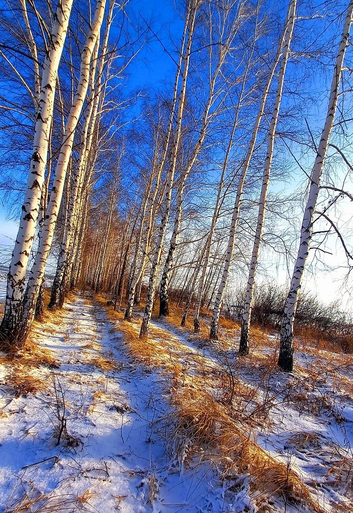 Photograph by Марина Козлова