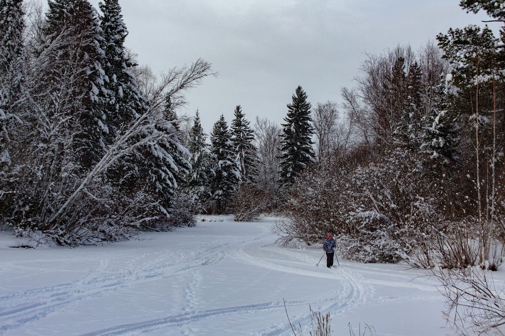 Photograph by Евгений Авдеев