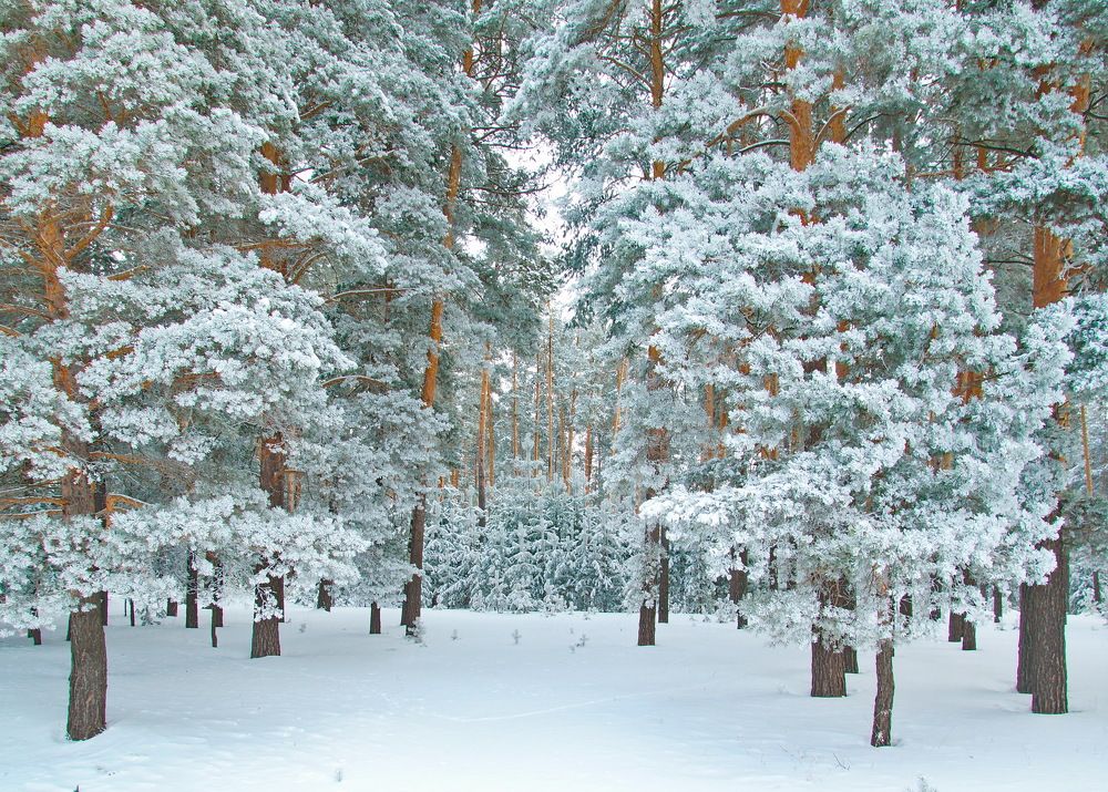 Photograph by Василий Быстрицкий