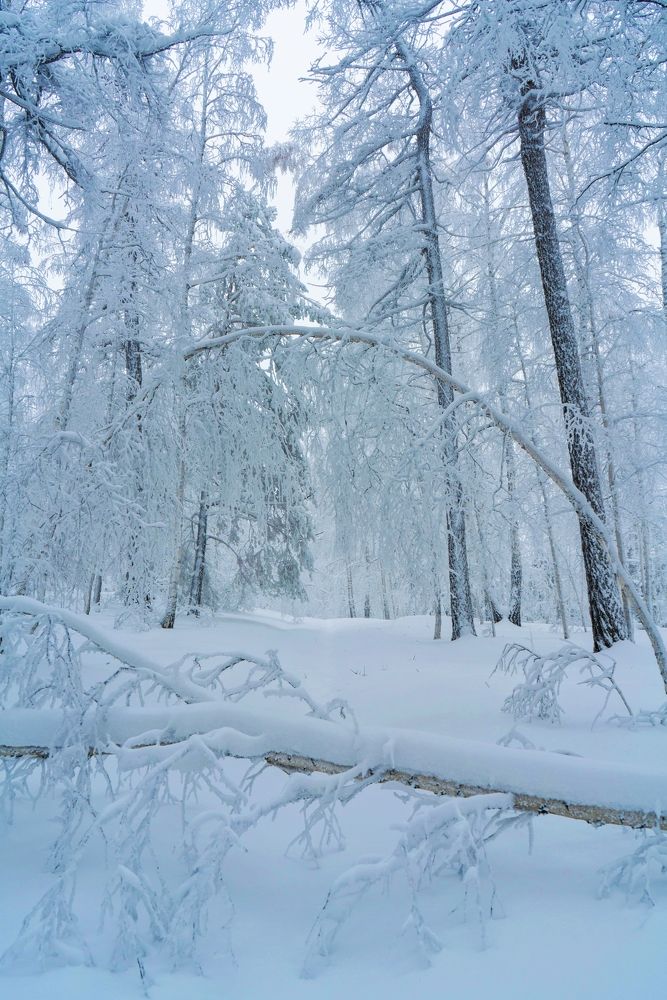 Photograph by Анастасия Глазюк