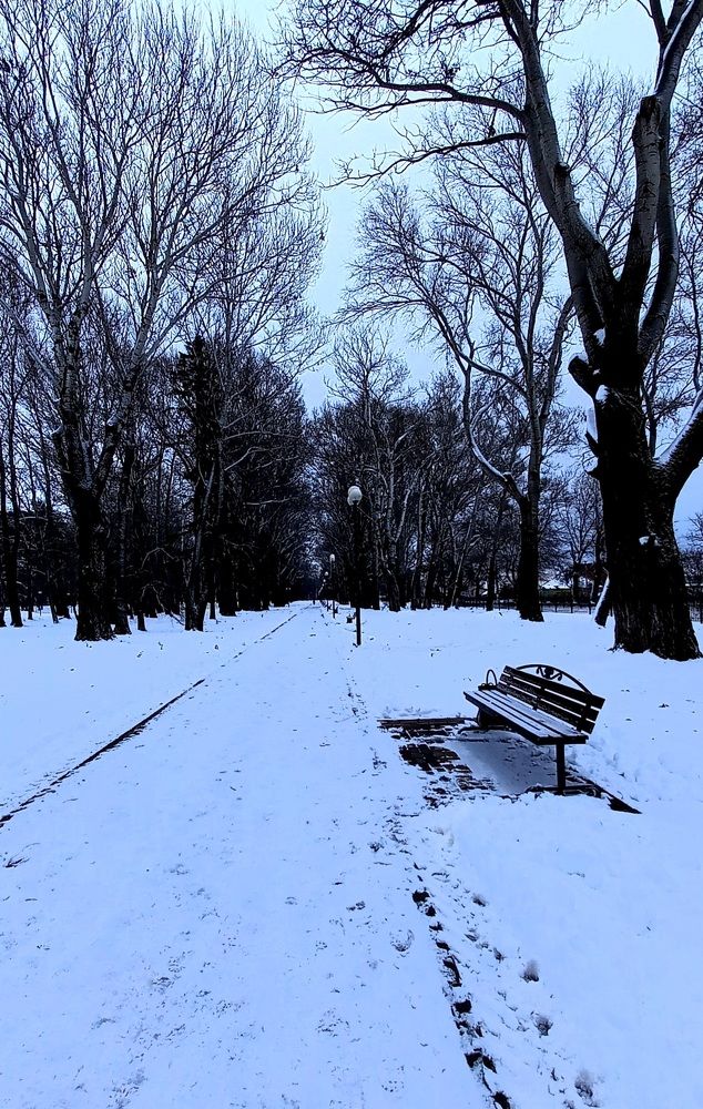 Photograph by Марина Козлова