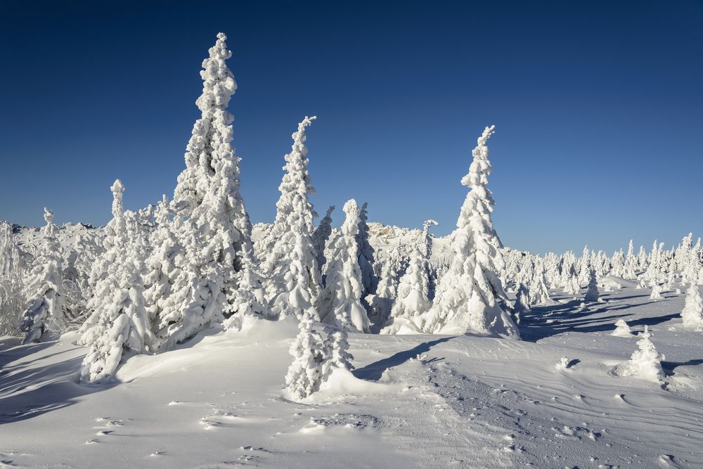Фотография автора Владимир Драчев