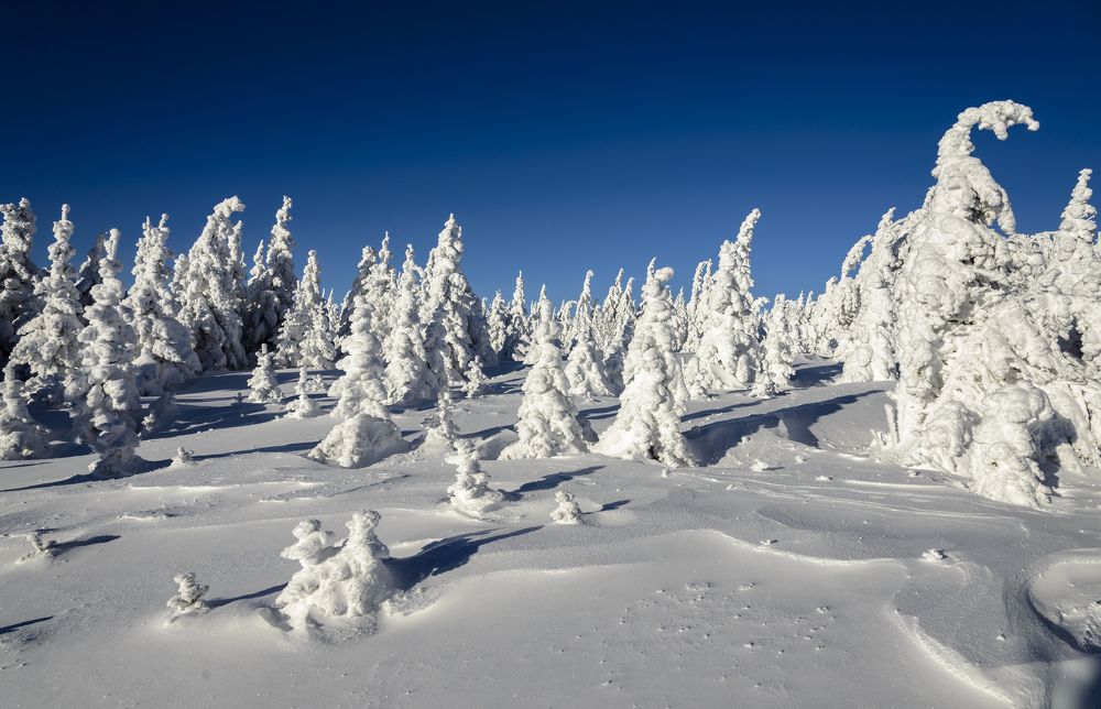 Фотография автора Владимир Драчев