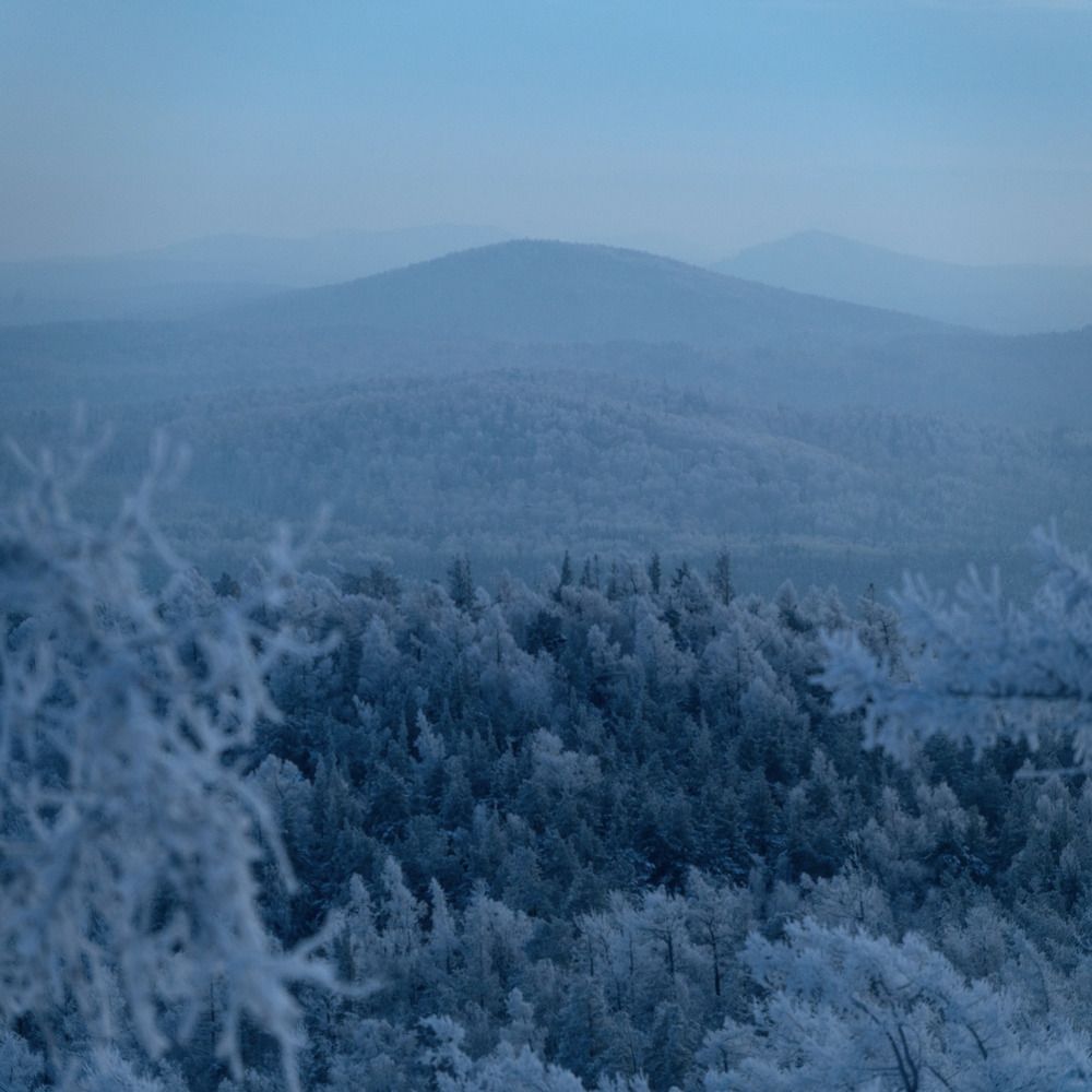 Photograph by Дмитрий Жучков