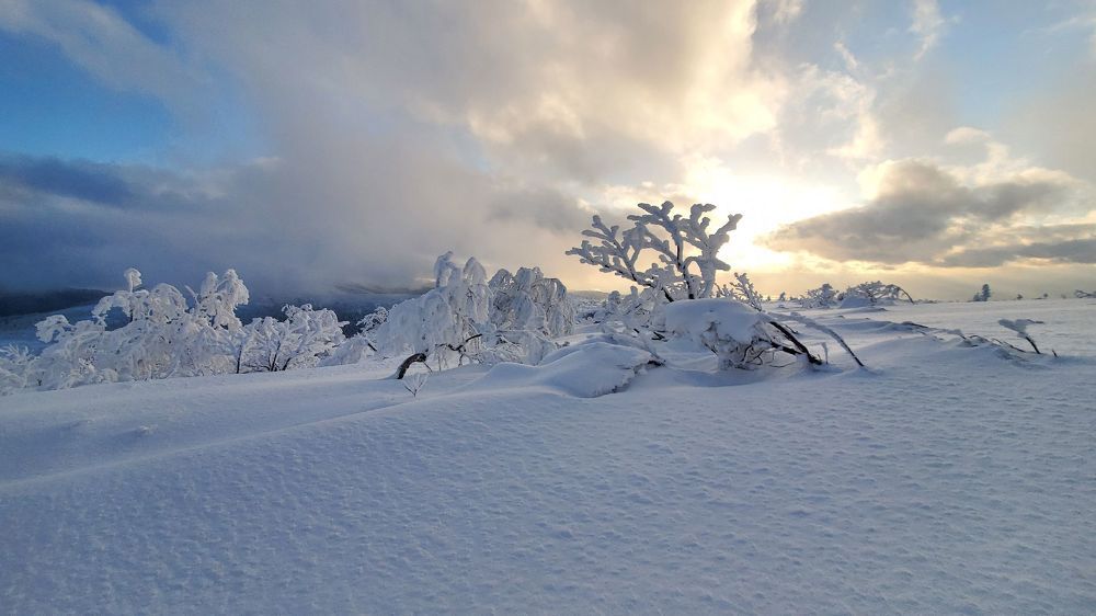 Photograph by Антон