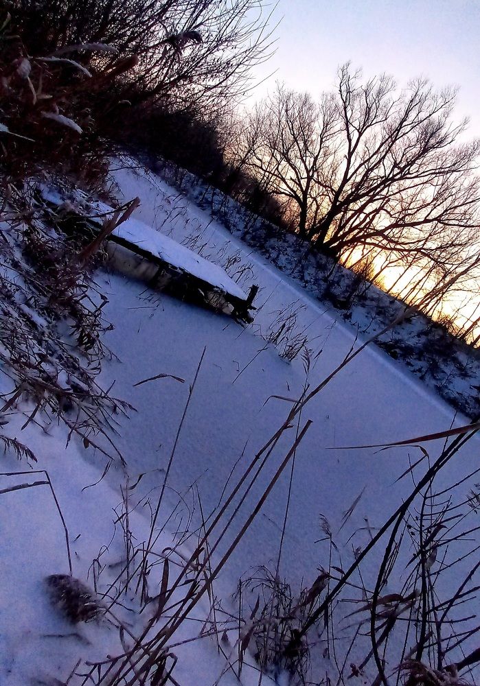 Photograph by Марина Козлова