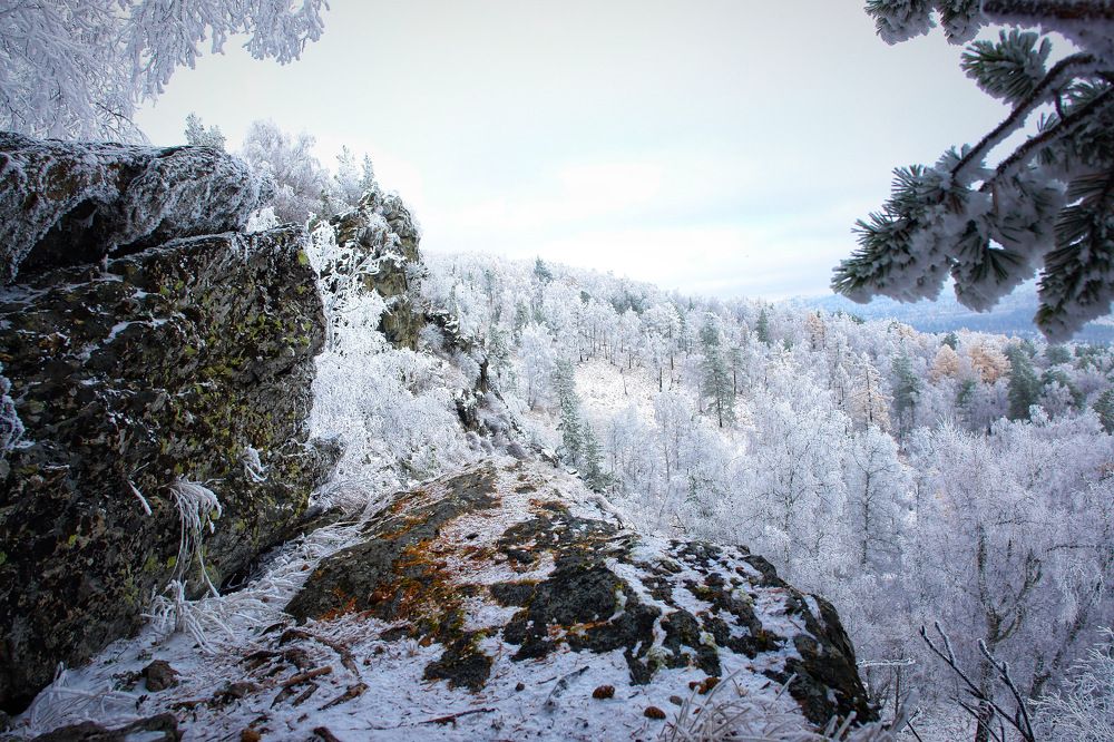 Photograph by Татьяна Галаева