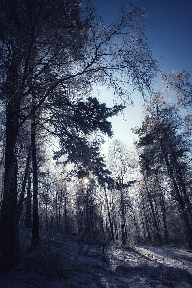 Photograph by Татьяна Галаева