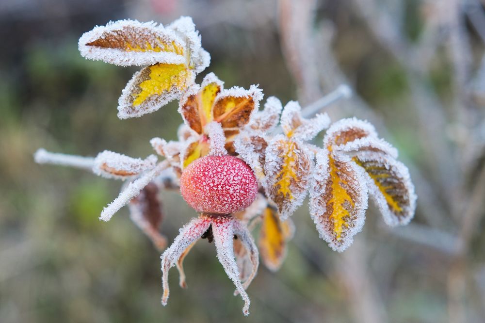 Photograph by Boeva Yuliya