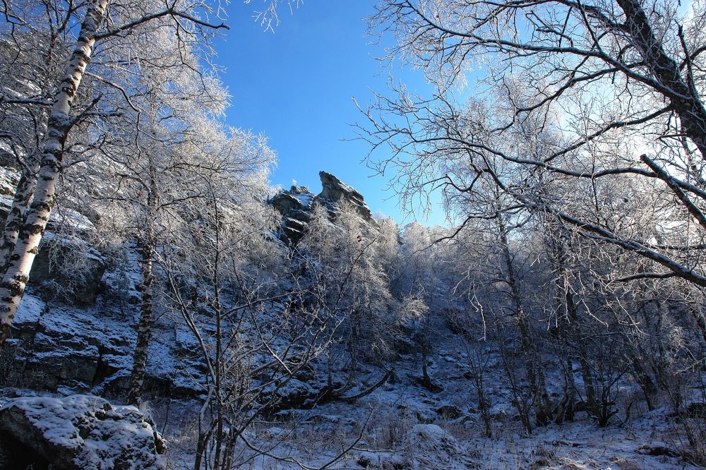 Photograph by Татьяна Галаева