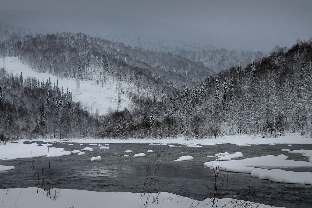 Фотография автора Любовь Харина