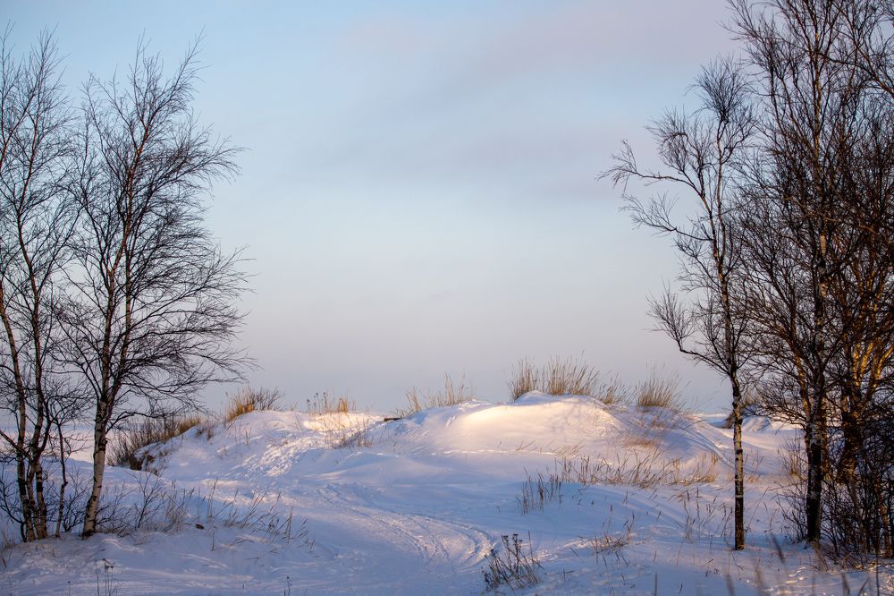Photograph by Влад Преображенский