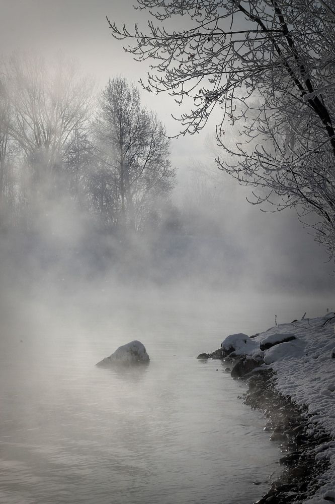 Фотография автора Любовь Харина