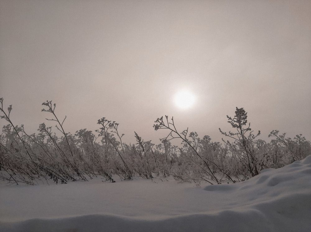 Photograph by Алия Латыйпова