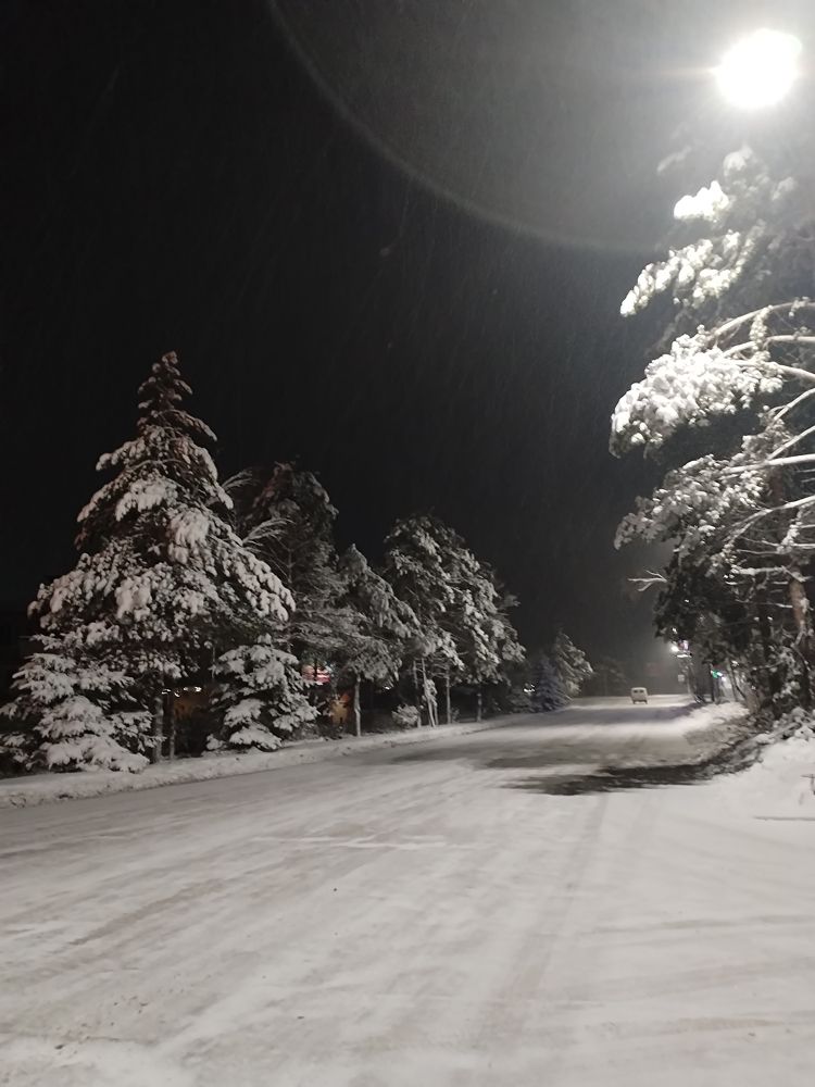 Photo #10014434