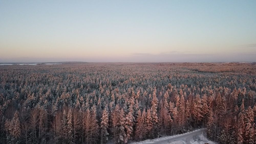 Photograph by Михаил Караев