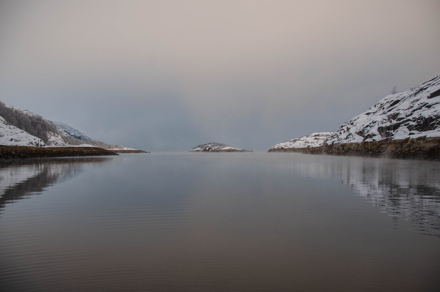 Photo #10014504