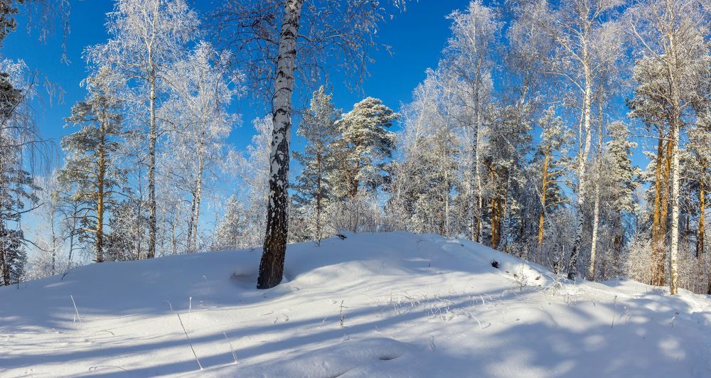 Photograph by Алексей Трухин