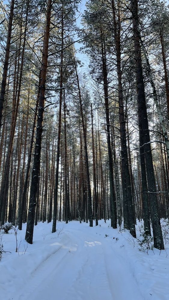 Photograph by Елизавета Большакова