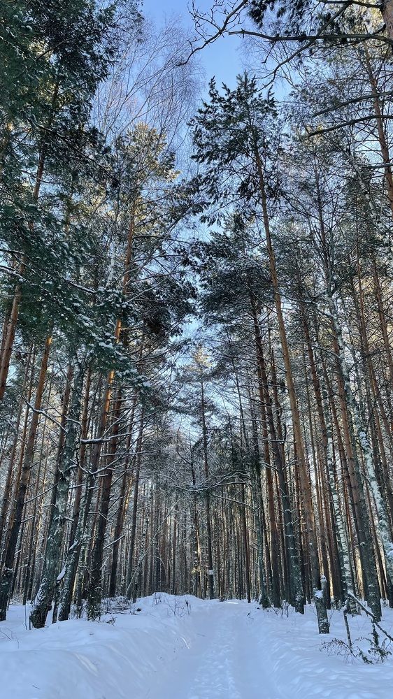 Photograph by Елизавета Большакова