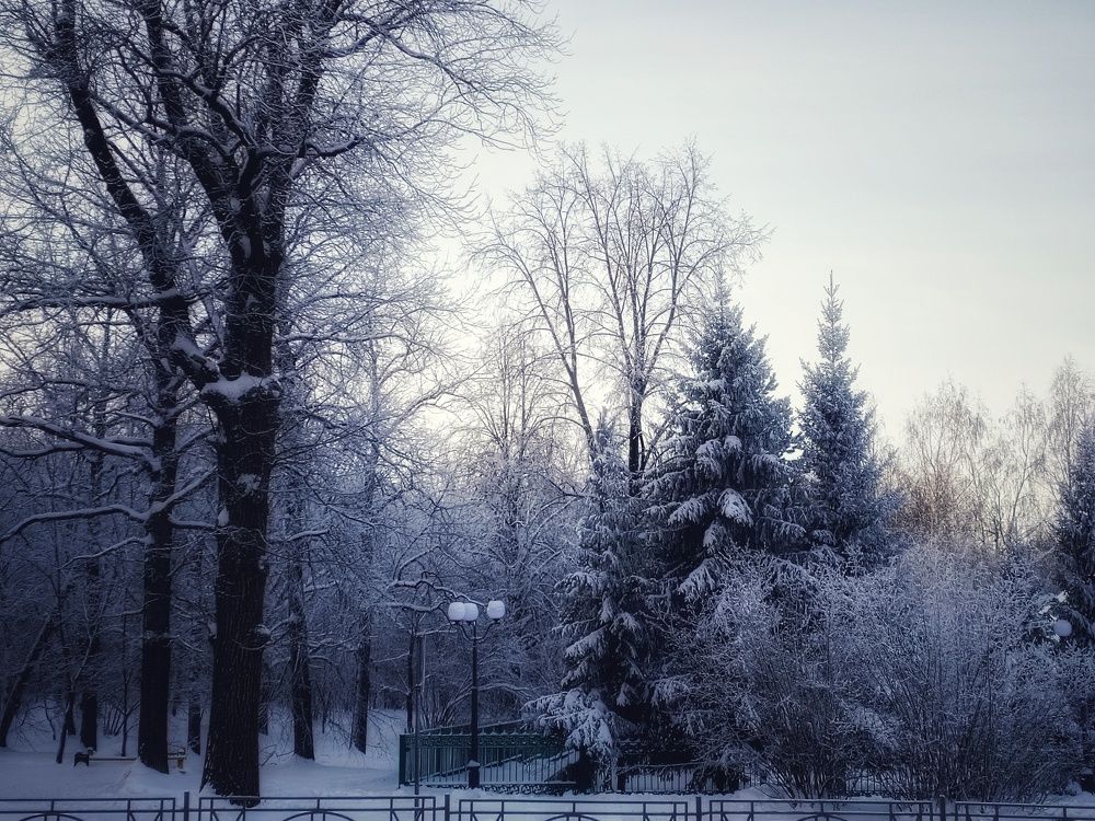 Photograph by Эльмира Гайнутдинова