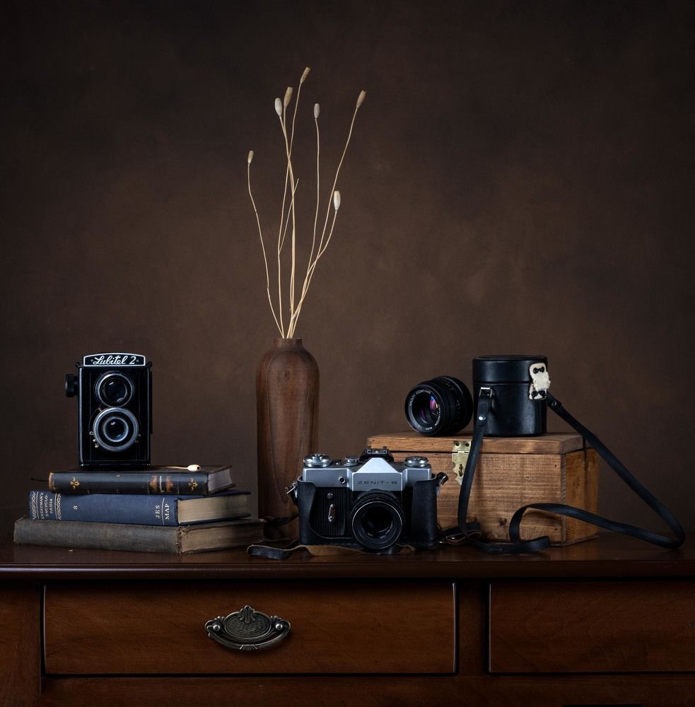 Photograph by sara shafigh