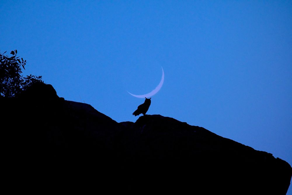 Photograph by Aishik Das