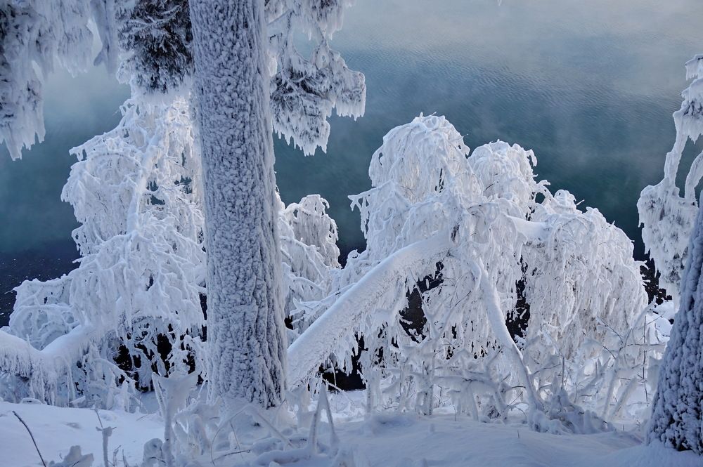 Photograph by Кузнечевская