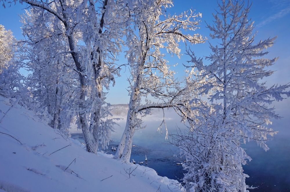 Photograph by Кузнечевская