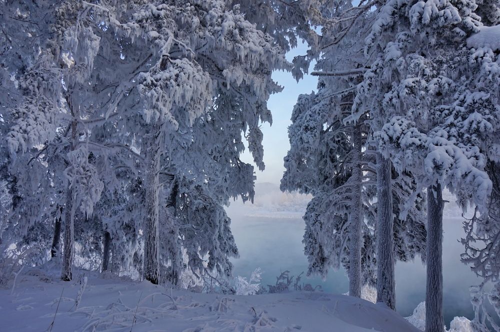 Photograph by Кузнечевская