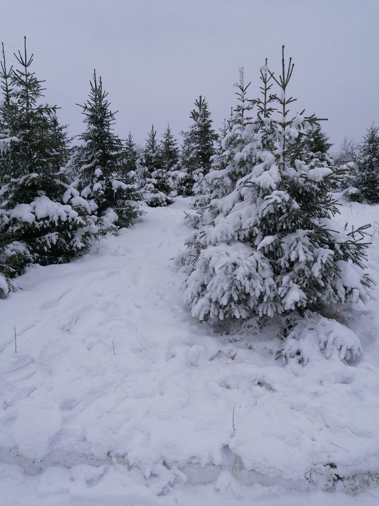 Фотография автора Татьяна Савранчук