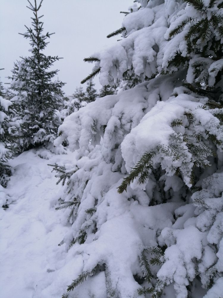 Фотография автора Татьяна Савранчук
