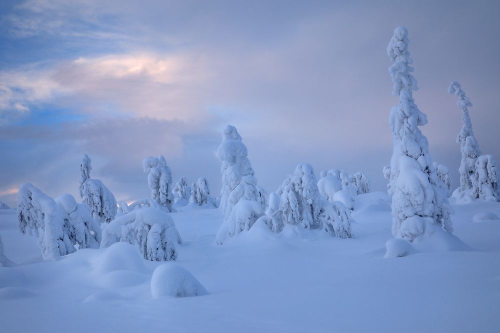 Photograph by Марина Александрова
