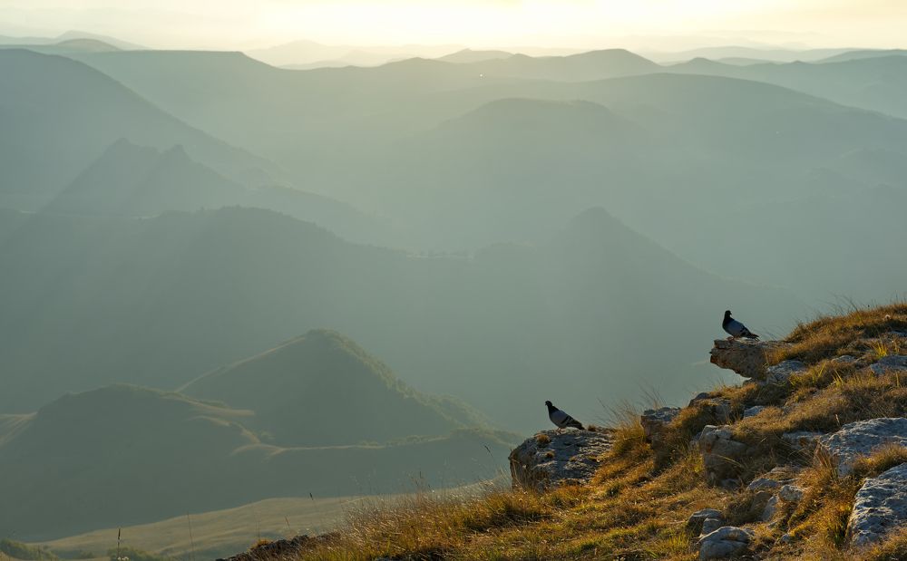 Photograph by Александр КАИ