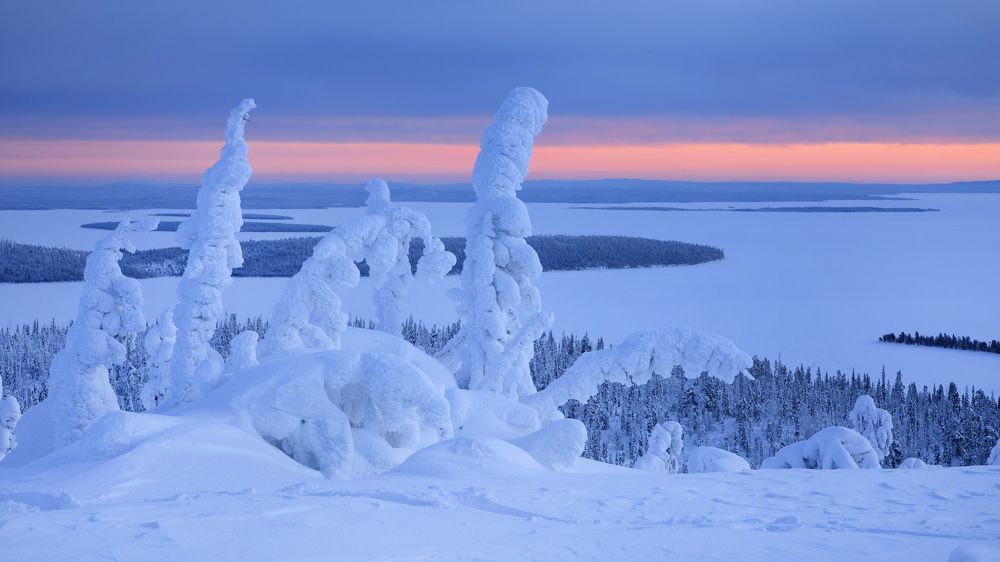 Photograph by Марина Александрова