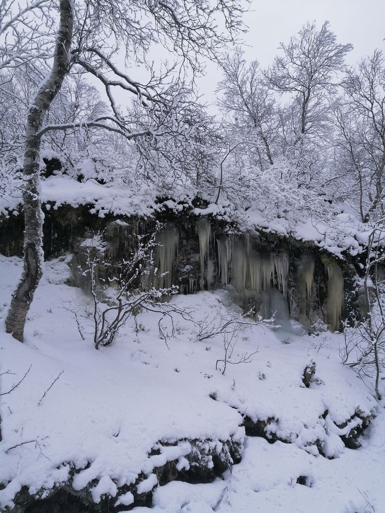 Фотография автора Татьяна Савранчук