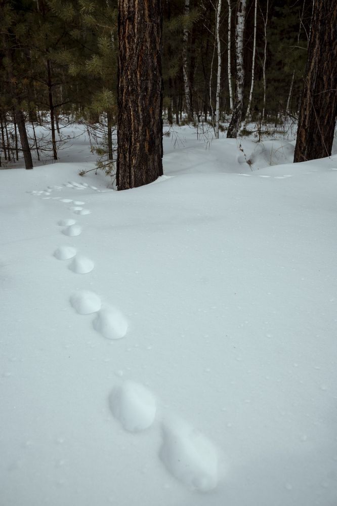 Photograph by Андрей Жучков