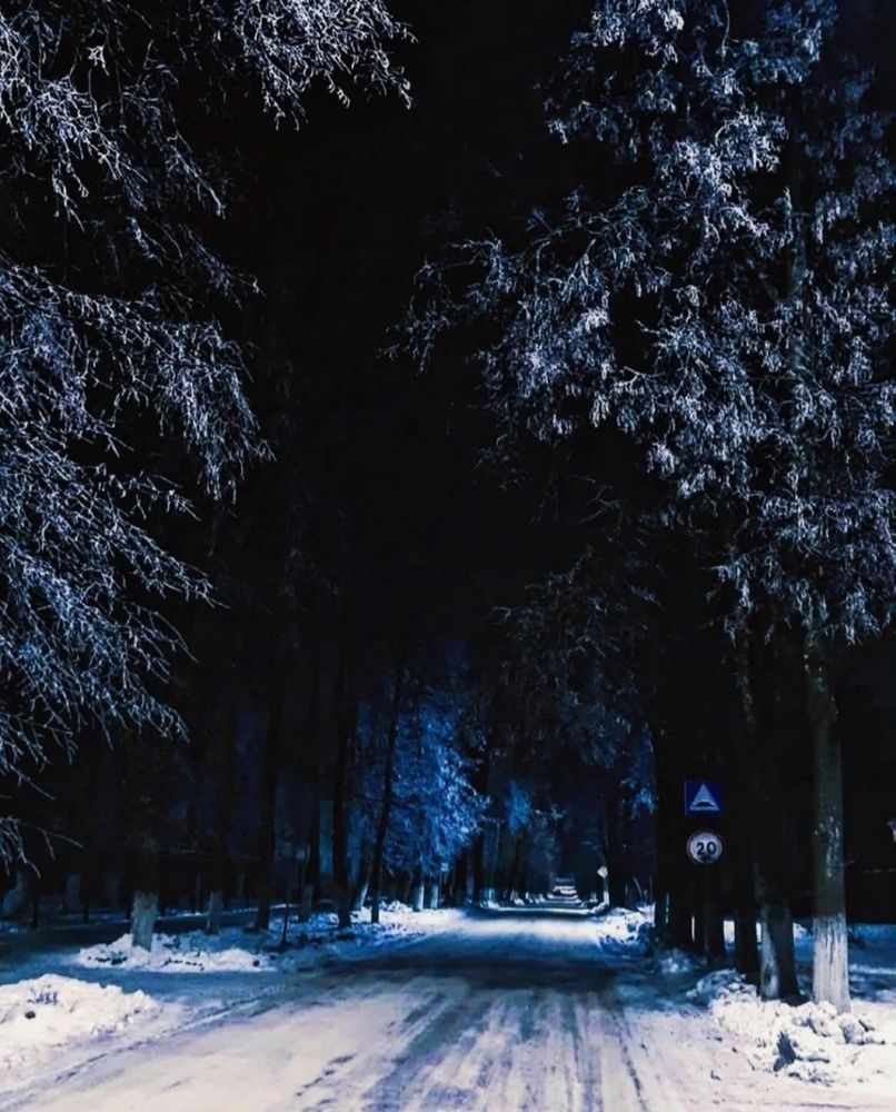 Чарующая зима