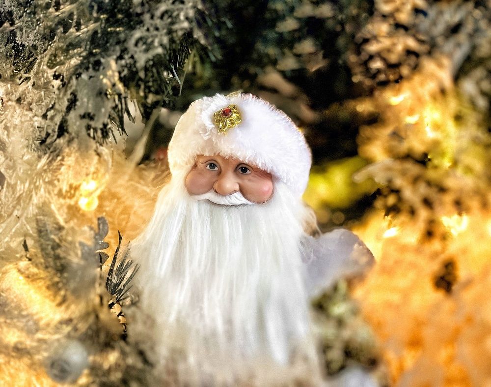 Photograph by Елена Фатеева