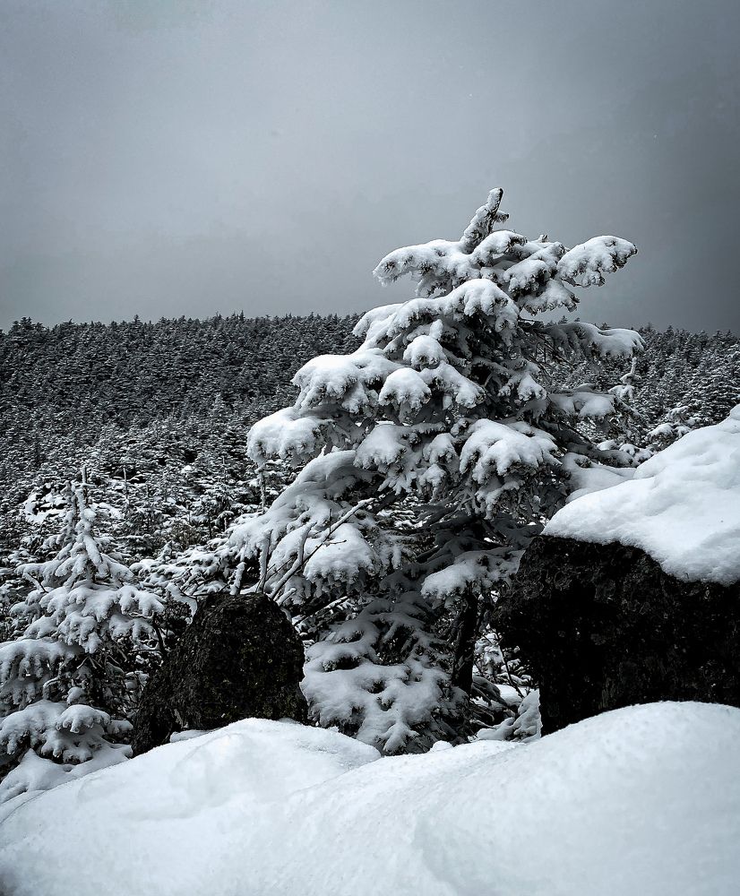 Photograph by Наталья Лобанова