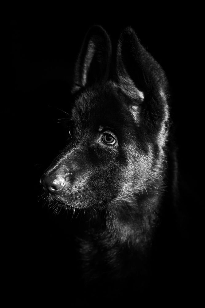 Photograph by Анна Иванова