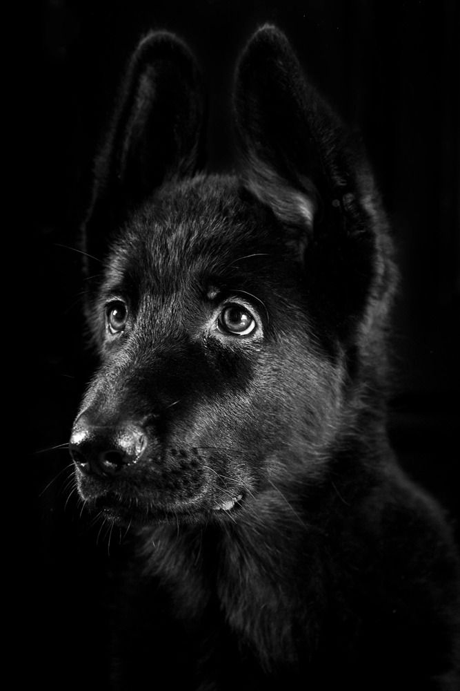 Photograph by Анна Иванова