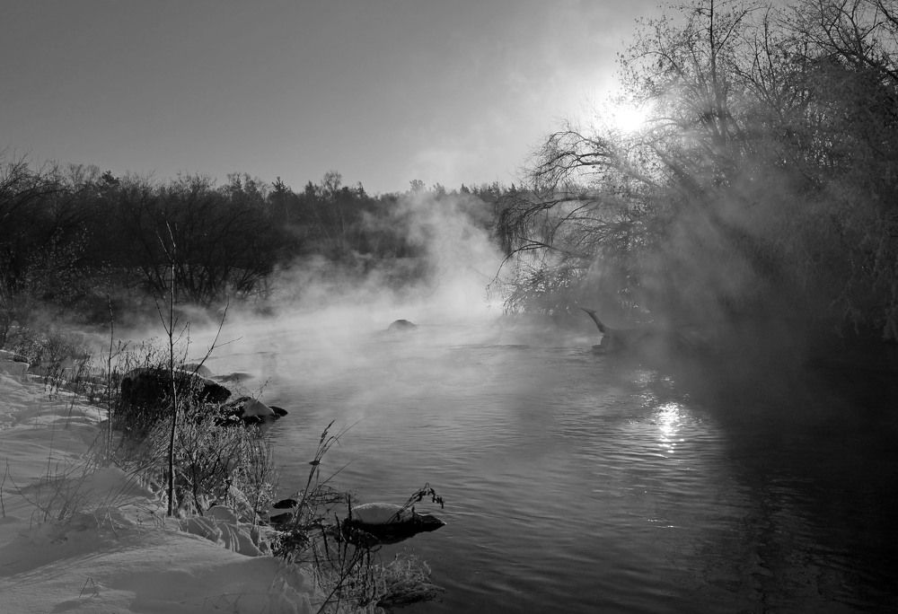 Photograph by Мишустина Татьяна